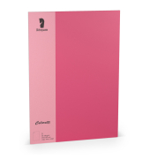 Briefpapier 220712554, pink, A4, 220g