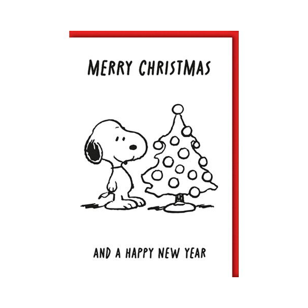 6 Stück Braun und Company Weihnachtskarte englisch 9004546592945 Braun und Company