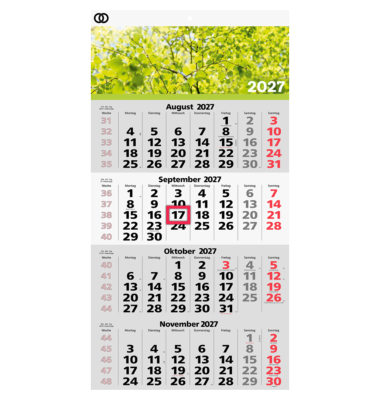 Wandkalender 5103-27, oeco, 4 sichtbare Monatsbl&ouml;cke/Seite, 33x58,8cm (BxH), Heftbindung, 4 sichtbare Monatsbl&ouml;cke,  Wochenz&auml;hlu