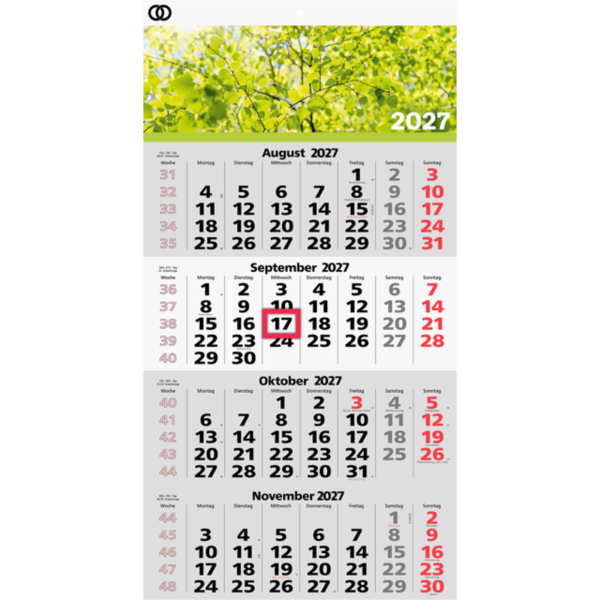 Soennecken Wandkalender 5103-27, oeco, 33x58,8cm (BxH), 2027 4003630037275 Soennecken