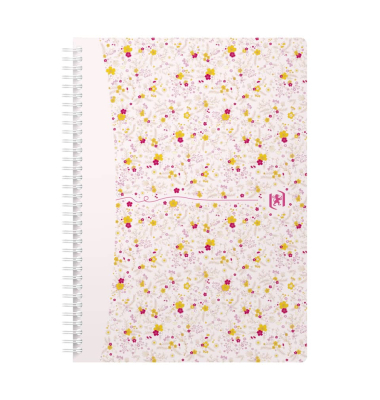 Notizbuch 400094959, farbig sortiert, liniert, 90g, 60 Blatt