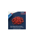 Gummiringe 50742, Rondella Nr. 15, &Oslash; 100mm, rot