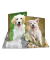 Gummizugmappe 7139 hund Polypropylen