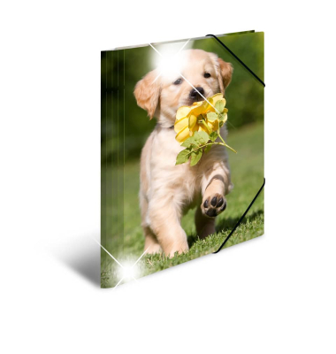 Gummizugmappe Glossy Tiere 19327, A4 bunt Polypropylen (PP), f&uuml;r ca. 200 Blatt  (80 g/m&sup2;), mit 3 Einschlaglaschen