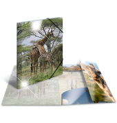 Gummizugmappe Glossy Tiere 19332, A3 bunt Polypropylen (PP), f&uuml;r ca. 150 Blatt  (80 g/m&sup2;), mit 3 Einschlaglaschen