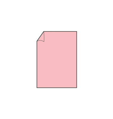 Brief Paperado rose