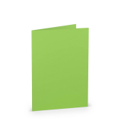 Briefkarten 16401964 240g apple