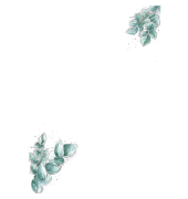 Design Papier Eucalyptus