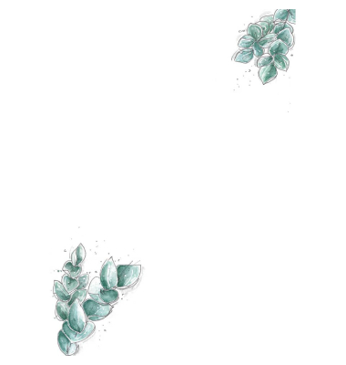 Design Papier Eucalyptus