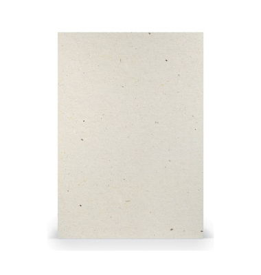 Brief Paperado Terra vanilla