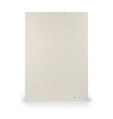 Briefkarten 1103012623 A4 210mm x 297mm (BxH) 220g terra vanilla