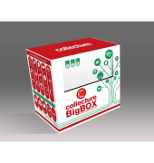 CR-Solutions Big Box Anlieferung rot