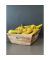 Obstkorb Birnen 4 KG im Korb