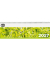 Querkalender 5101-27, oeco, 1 Woche / 1 Seite, 29,6x9,9cm (BxH) (quer), 2027
