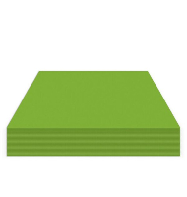 Fotokarton K-0045-555, grasgr&uuml;n