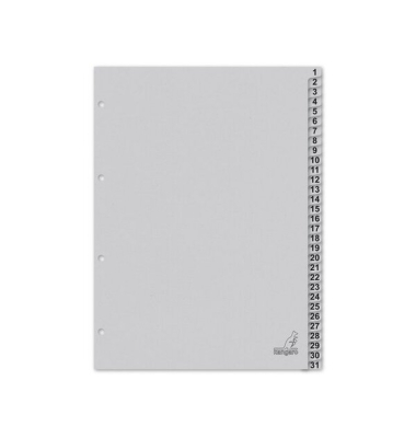 Kartonregister K431C