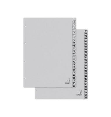 Kartonregister K452C