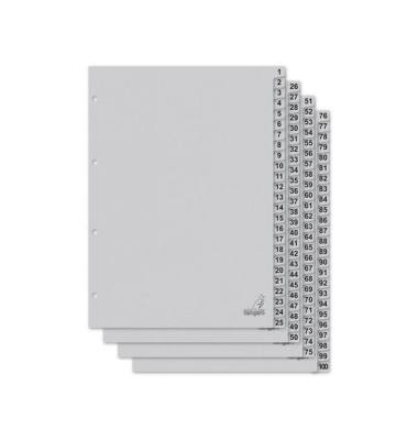 Kartonregister K4100C