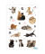 Scmucketikette Decor Katzenkinder
