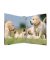 Ringbuch Animals Hunde 19358, A4 4 Ringe 25mm Ring-&Oslash; Karton motiv