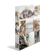 Ringbuch Katzen 19359, A4 4 Ringe 25mm Ring-&Oslash; Karton motiv