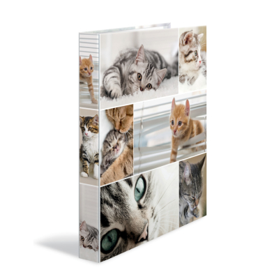 Ringbuch Katzen 19359, A4 4 Ringe 25mm Ring-&Oslash;