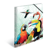 Gummizugmappe Exotic Animals 19959, A4 farbig sortiert Polypropylen (PP), f&uuml;r ca. 50 Blatt  (80 g/m&sup2;), mit 3 Einschlagklappen