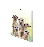 Gummizugmappe Exotic Animals 19961, A4 farbig sortiert Polypropylen (PP), f&uuml;r ca. 50 Blatt  (80 g/m&sup2;), mit 3 Einschlagklappen