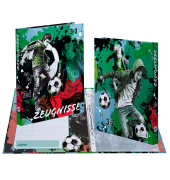 Ringbuch Street Soccer 20162, A4 4 Ringe 30mm Ring-&Oslash; Karton bunt