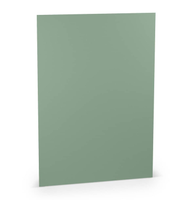 Brief Paperado Eucalyptus