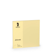 Briefkarten 220741519 157mm x 157mm (BxH) 225g sandbraun