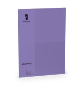 Briefkarten 220772592 DIN B6 - 12,5 cmx17,6 cm 225g planliegend lila
