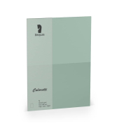 Briefkarten 220770567 A6 225g planliegend eucalyptus
