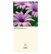 Kalenderr&uuml;ckwand Blumen