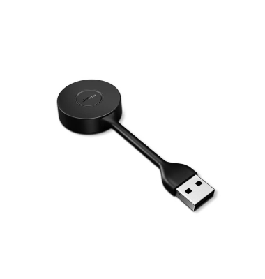 Link 400a MS USB-A-DECT