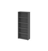Regal 5OH GraphitAsteiche
