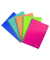 Notizbuch 25449, Lyreco Polycolor - Serie, farbig sortiert, A4, liniert, 80g, 50 Blatt / 100 Seiten