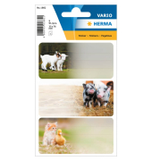 Schuletikette Bauernhoftiere