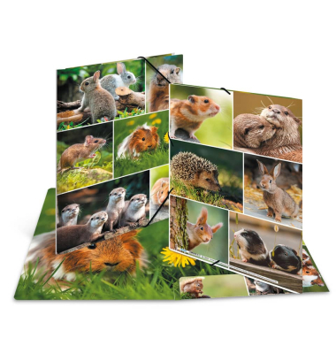 Gummizugmappe Tierwelten 19343, A4 bunt Karton, f&uuml;r ca. 200 Blatt  (80 g/m&sup2;), mit 3 Einschlagklappen