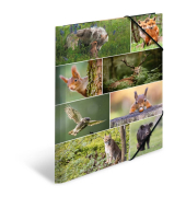 Gummizugmappe Tierwelten 19451, A3 bunt Karton, f&uuml;r ca. 50 Blatt  (80 g/m&sup2;), mit 3 Einschlagklappen