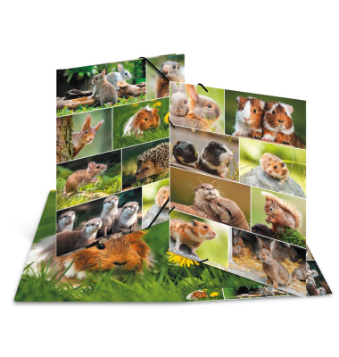 Gummizugmappe Tierwelten 19453, A3 bunt Karton, f&uuml;r ca. 50 Blatt  (80 g/m&sup2;), mit 3 Einschlagklappen