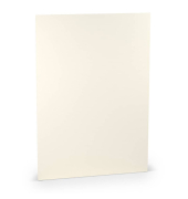 Briefpapier 16400112, ivory, 100g