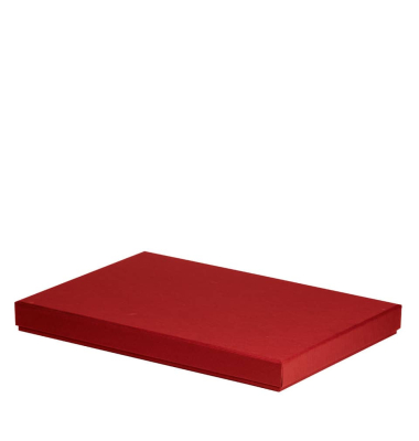 Aufbewahrungskarton Boxline rot