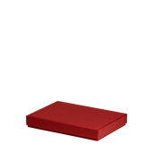 Aufbewahrungskarton Boxline rot