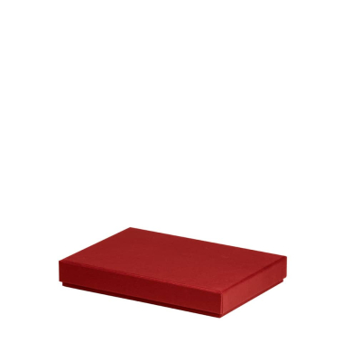 Aufbewahrungskarton Boxline rot