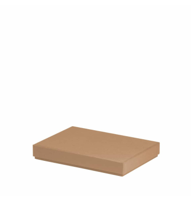 Aufbewahrungskarton Boxline kraft