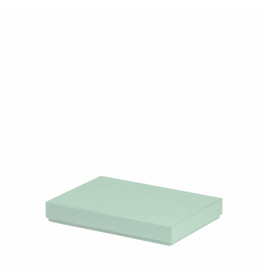 Aufbewahrungskarton Boxline mint