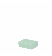 Geschenkkarton Boxline mint