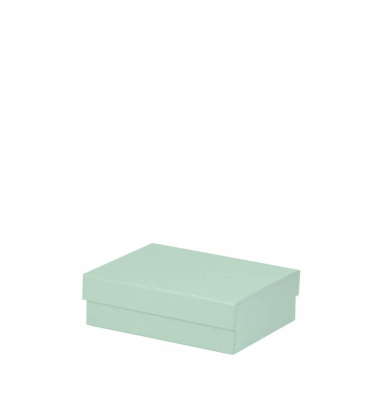 Geschenkkarton Boxline mint
