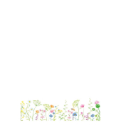 Design Papier